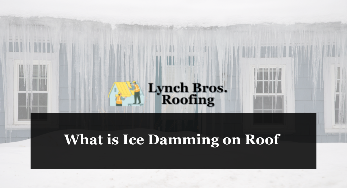 What is Ice Damming on Roof